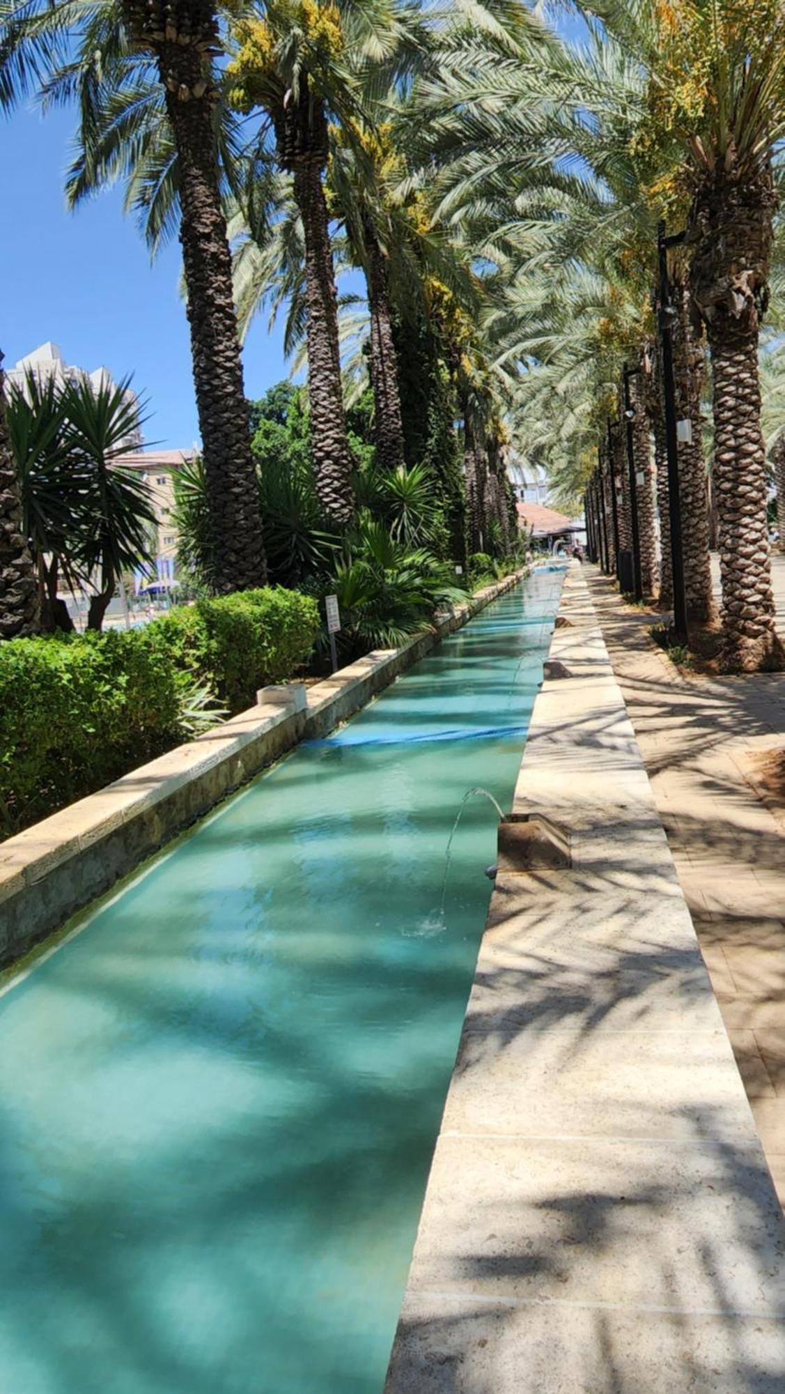 Apartamento יחידת דיור Rishon LeZion Habitación foto